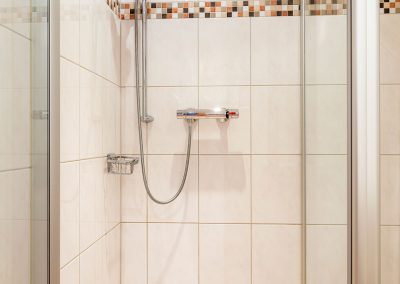 Falhaus Öko-Appartment BIRKE Dusche